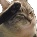 UUC_CatPayRespect UUC_CatPayRespect