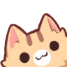 kittypeek kittypeek