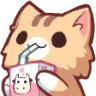 kittysip kittysip