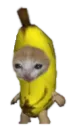 banana_cat