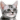 2486pixelcatbruh