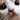 5235pixelcatwhat