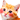 3812catblushstare