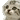 9894pixelcatwaiting