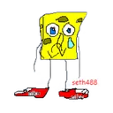 sponge