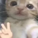 qq