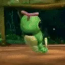 caterdance