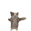 Cat2