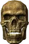 1skull1