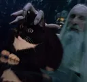 saruman