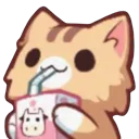 Ele_Kittysip