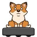 FoxRoombaSpin