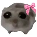 hamsti