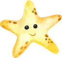 SK_yellow_starfish