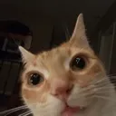 eh