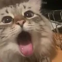 blehhhhh