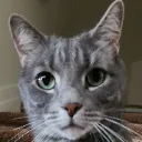 minky