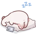 sleep