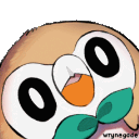 rowlet_huh