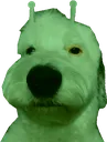 glorpie
