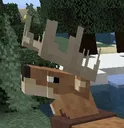 Kanooter_sideeye