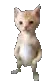 0SillyBru