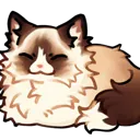 4r_kittyloafragdoll