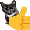 catthumbsup
