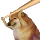 senpai_sar_phod_dunga