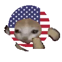 usarun