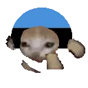 estoniarun estoniarun