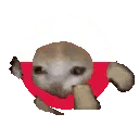 polandrun