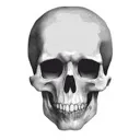 skull4