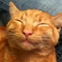 precious_smile