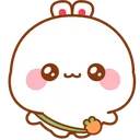 sTujiHello