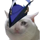 sadgecat_clor