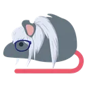 Rat_SK
