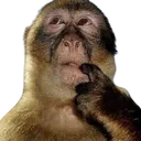 monkeyThink