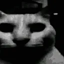 nowhiskas