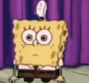 spongetwerk