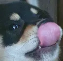 Akio_mlem