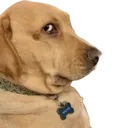 q_sideeye
