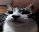 ah