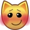 kitty