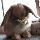 embarrassed