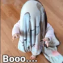 boooohh_gghaweli