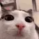 plink