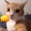 j_catpunch