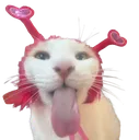 lick