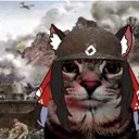 Nekomiya_warzone